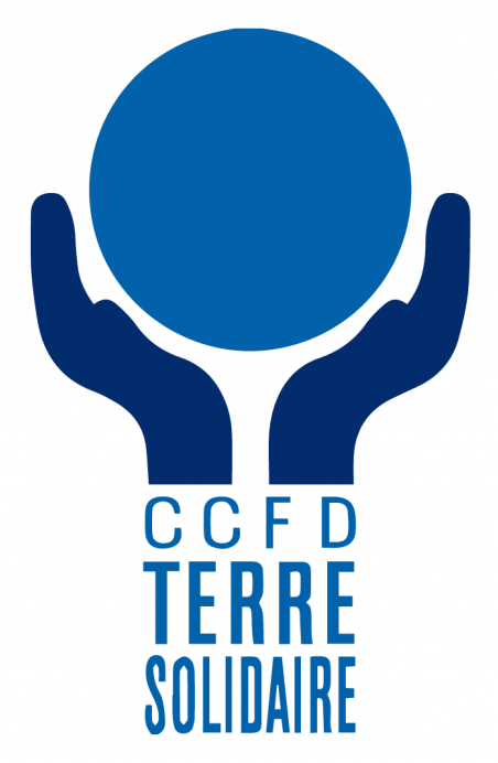 P17 ccfd logo